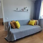 Comfortable Gerbera Tallinn