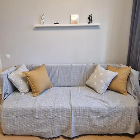 Apartment Comfortable Gerbera