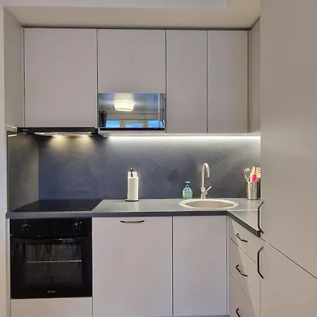 Comfortable Gerbera Apartment Tallinn