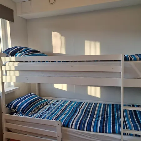 Comfortable Gerbera *