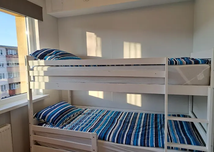 Comfortable Gerbera *