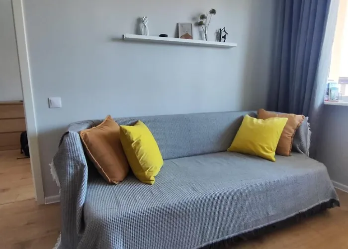 Comfortable Gerbera Tallinn