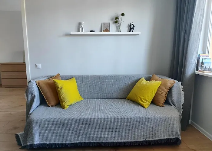 Comfortable Gerbera Tallinn