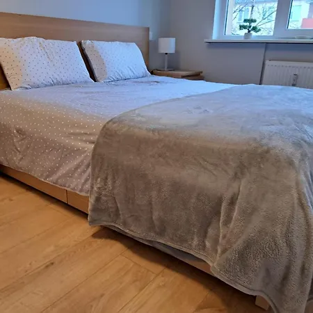 Apartman Comfortable Gerbera *