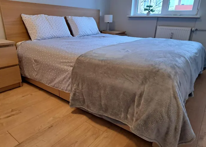 Apartment Comfortable Gerbera *