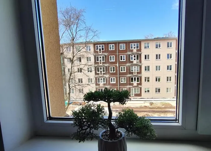 Comfortable Gerbera Apartment Tallinn